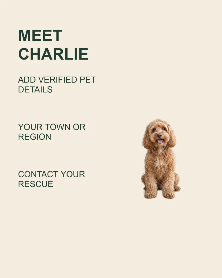 Adopt me sample design