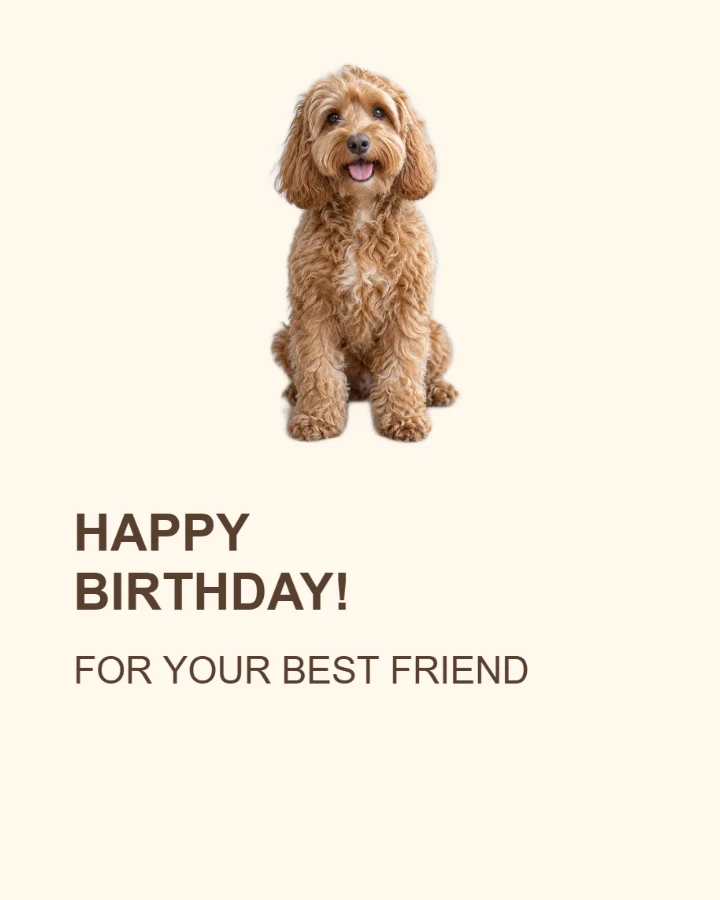 Editorial Pet birthday card layout