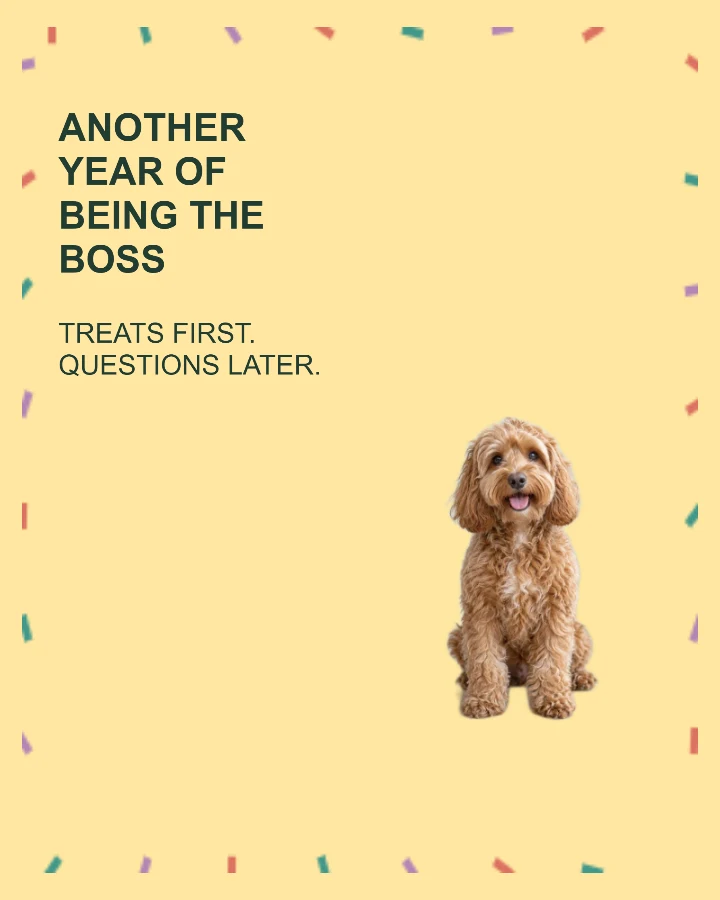 Funny Pet birthday card layout