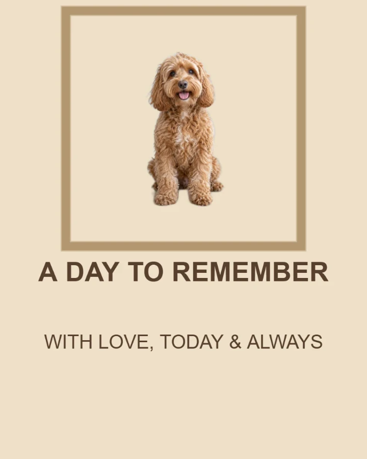 Retro Pet birthday card layout