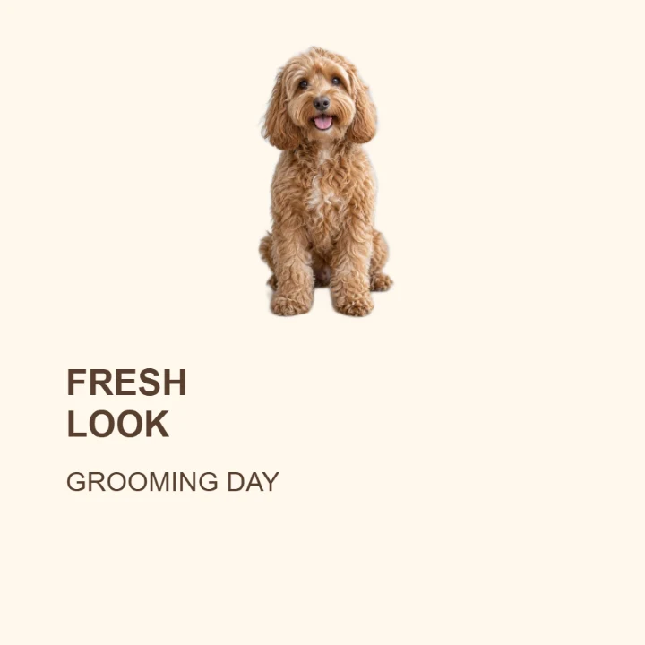 Editorial Grooming update layout
