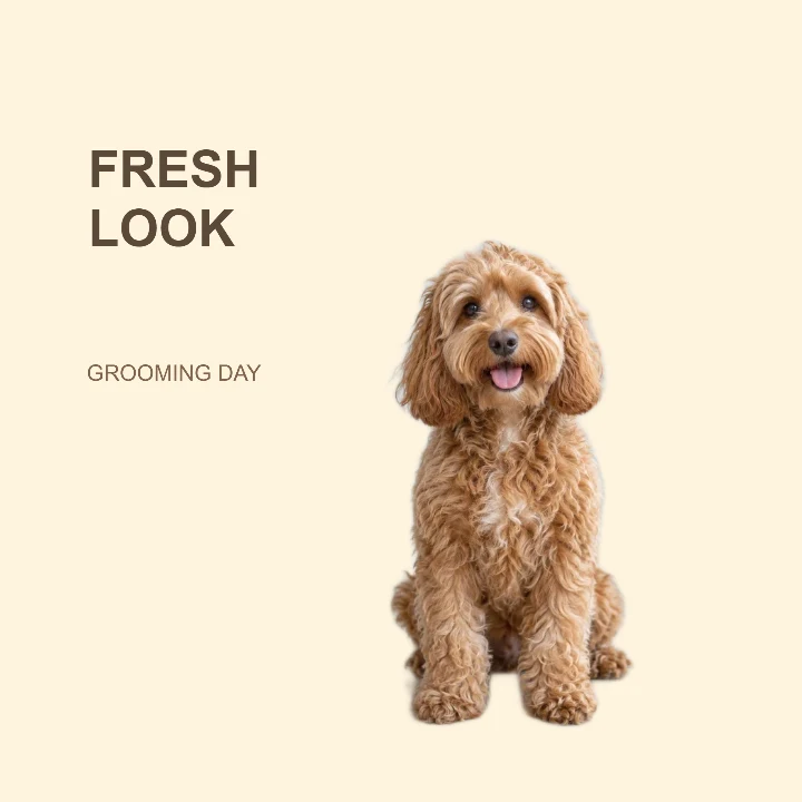 Grooming update sample design